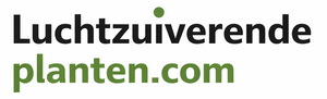 Luchtzuiverendeplanten.com